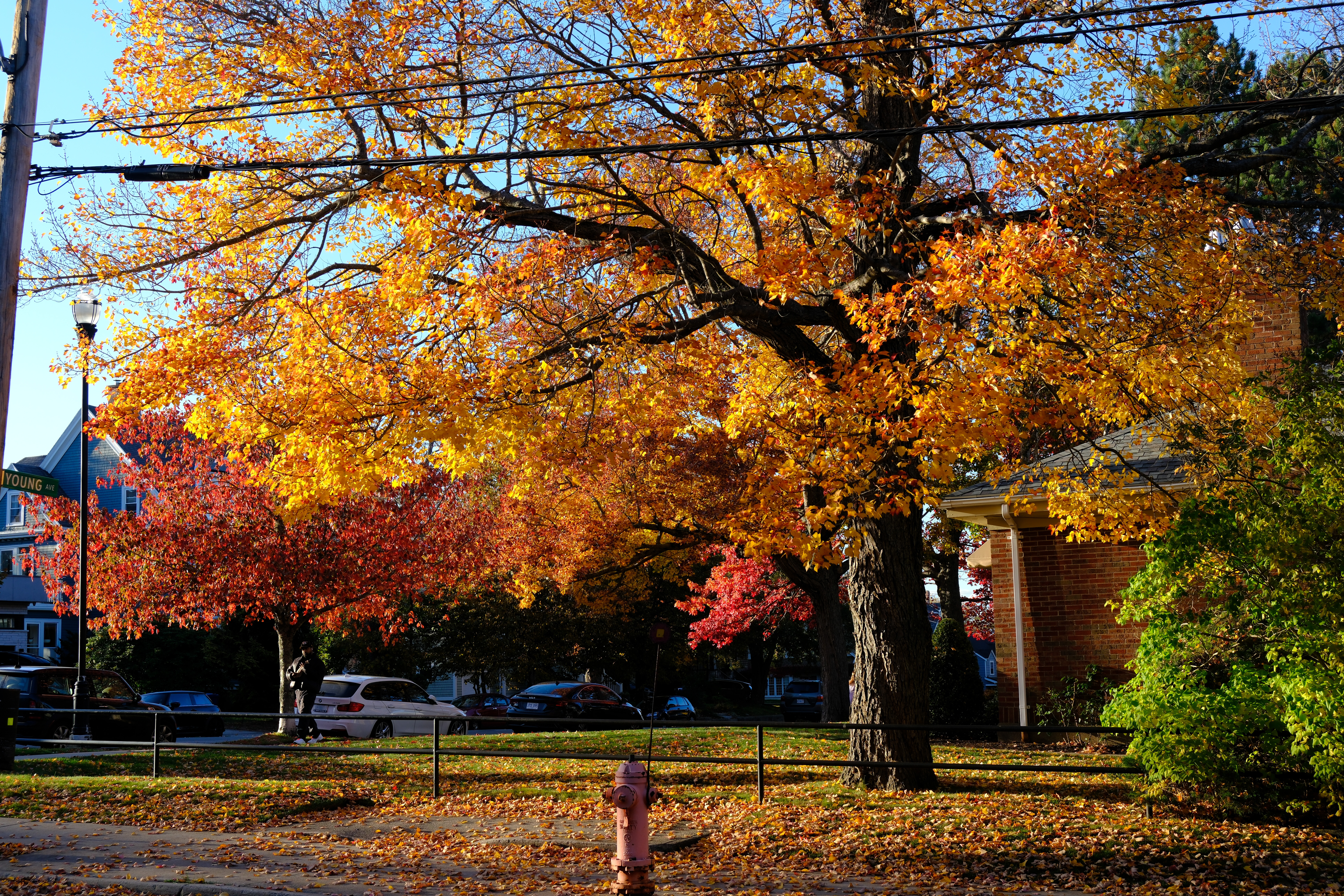 哈利法克斯秋景